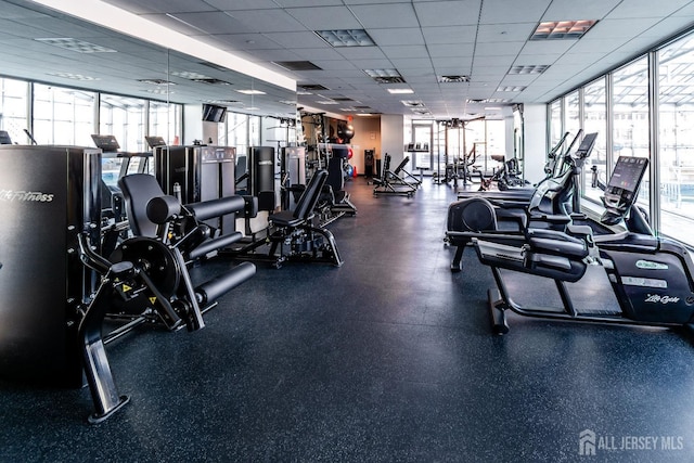 workout area with a healthy amount of sunlight, floor to ceiling windows, and a drop ceiling