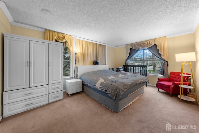 8 Carlisle Ct, Old Bridge, NJ 08857 - bedroom featuring carpet floors, a textured ceiling, and crown molding