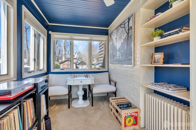 1135 Dorsey Pl, Plainfield, NJ 07062 - living area featuring radiator heating unit and carpet