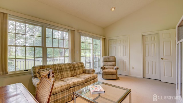 39 Leeds Ln, Monroe, NJ 08831 - carpeted living area with vaulted ceiling and baseboards