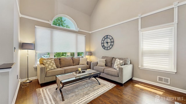 9 Helene St, Old Bridge, NJ 08857 - living room with high vaulted ceiling, healthy amount of natural light, dark wood finished floors, and baseboards
