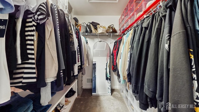 9 Helene St, Old Bridge, NJ 08857 - spacious closet with carpet floors