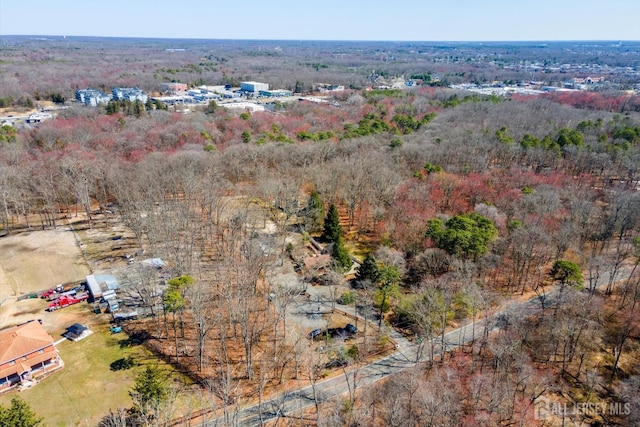 75 Brown Rd, Howell, NJ 07731 - bird's eye view of a forest