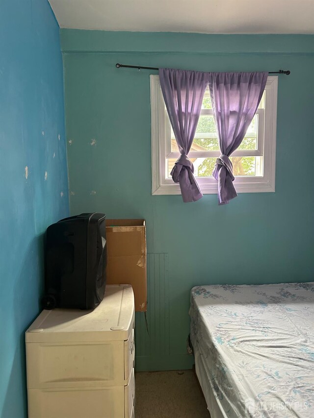 290 Redmond St, New Brunswick, NJ 08901 - view of bedroom