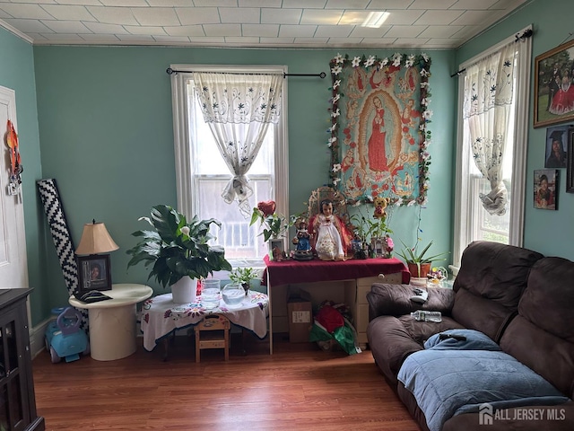 290 Redmond St, New Brunswick, NJ 08901 - living room featuring wood finished floors