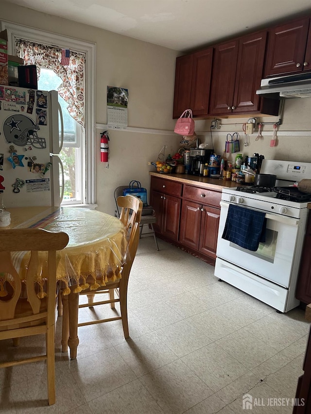 290 Redmond St, New Brunswick, NJ 08901 - kitchen featuring white range with gas stovetop, under cabinet range hood, and light flooring
