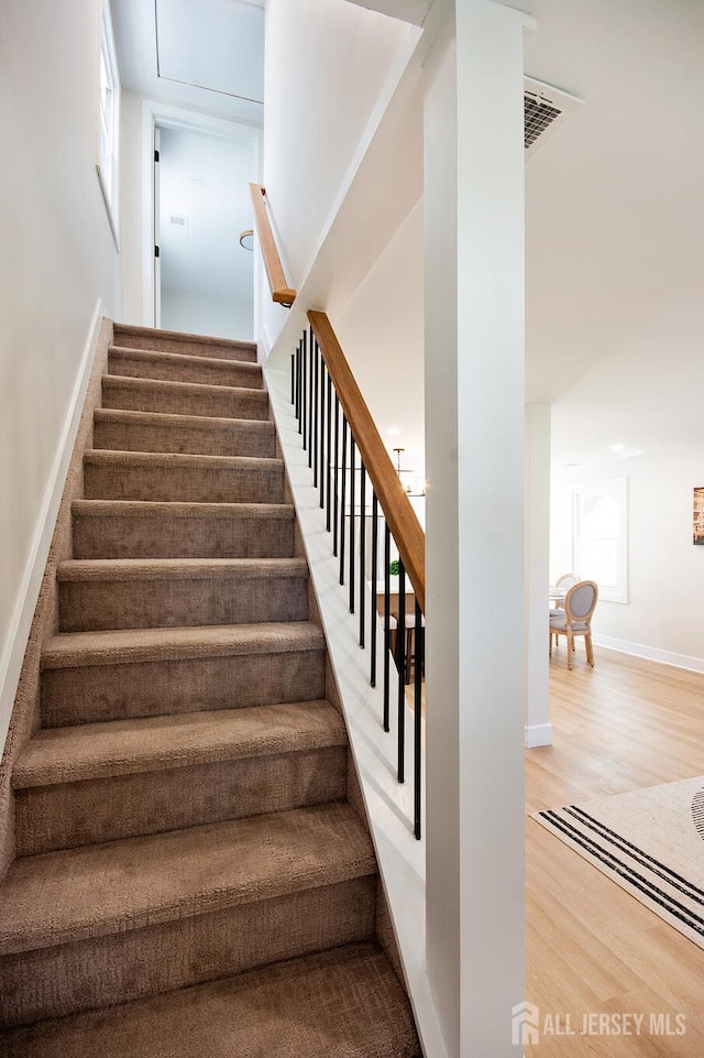304 Chestnut Pl, Piscataway, NJ 08854 - photo 9