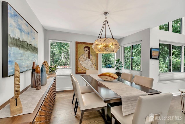 107 Sayre Dr, Plainsboro, NJ 08540 - dining area with healthy amount of natural light, wood finished floors, and a chandelier