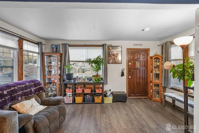 sitting room with wood finished floors and a wealth of natural light