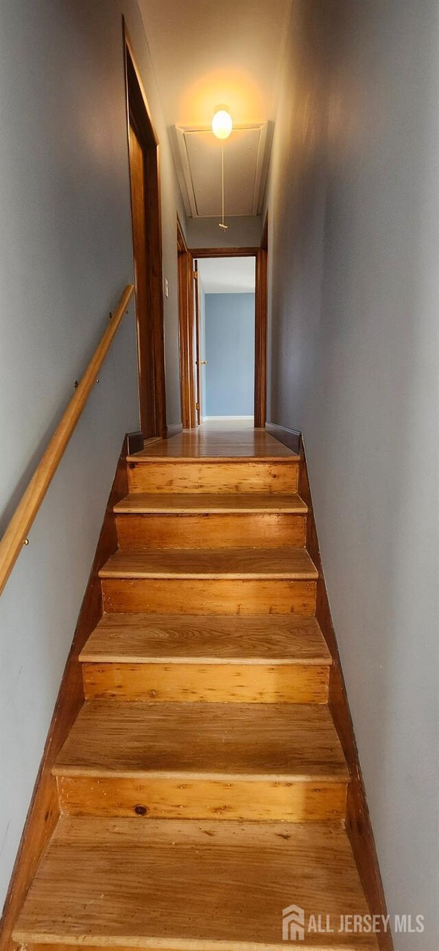242 Hamilton Blvd, Piscataway, NJ 08854 - photo 20