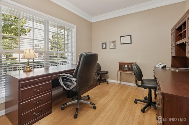 380 Windfall Ln, Franklin Twsp, NJ 08873 - photo 18