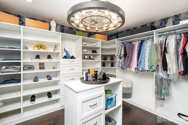 spacious closet with dark wood finished floors