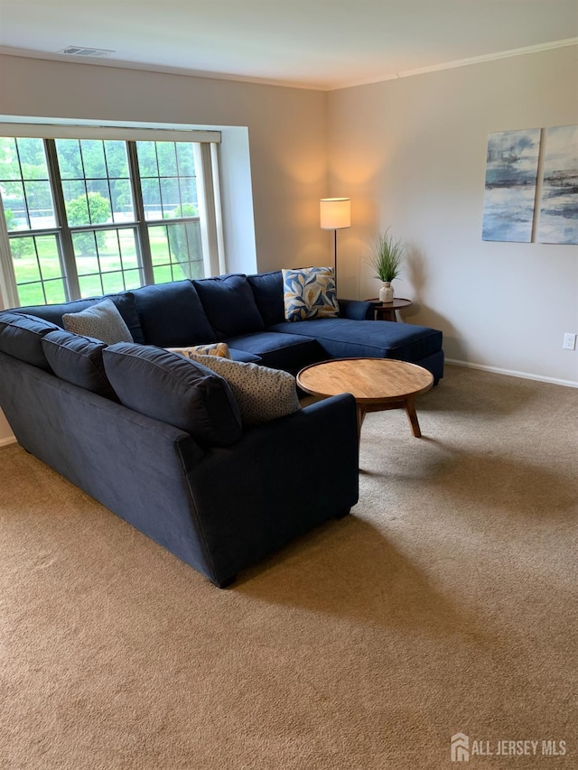 151 Wyndham Pl, Robbinsville, NJ 08691 - living room with carpet and ornamental molding