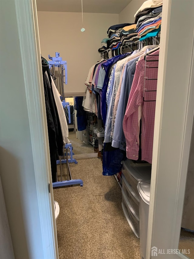 151 Wyndham Pl, Robbinsville, NJ 08691 - walk in closet featuring carpet floors