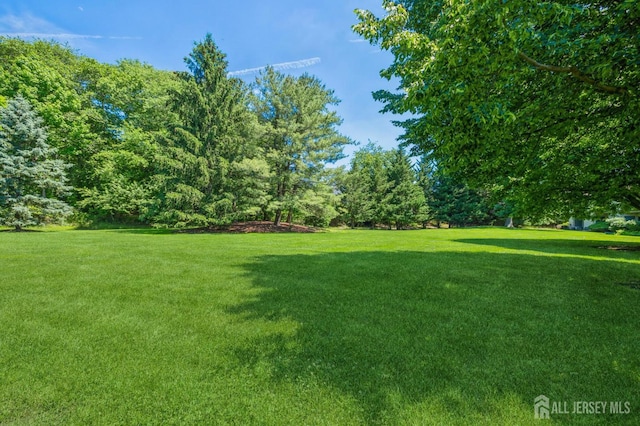 151 Wyndham Pl, Robbinsville, NJ 08691 - view of grassy yard
