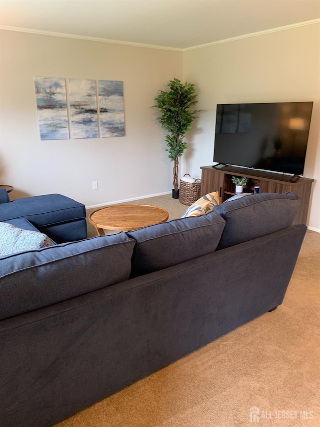 151 Wyndham Pl, Robbinsville, NJ 08691 - carpeted living area with crown molding and baseboards