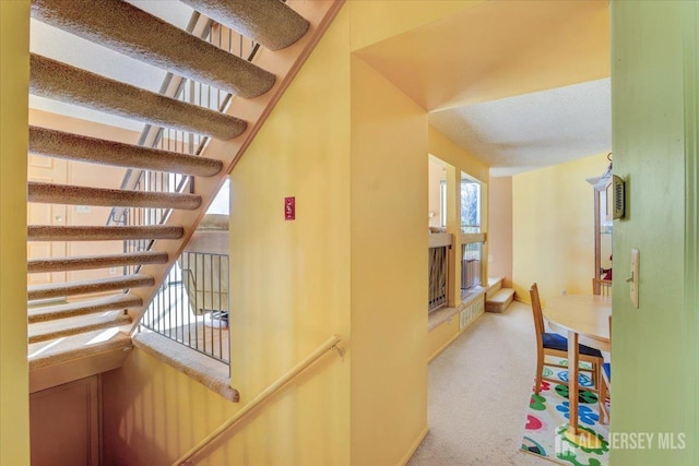 corridor featuring carpet floors