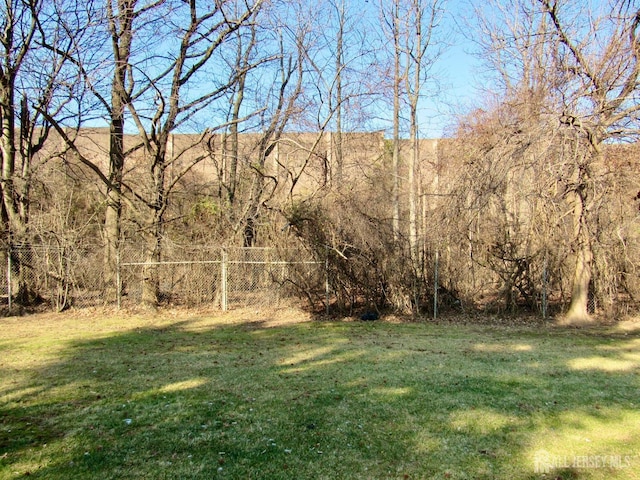 1029 Cricket Ln, Woodbridge Proper, NJ 07095 - view of yard