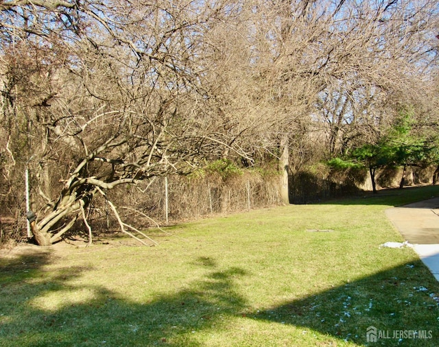 1029 Cricket Ln, Woodbridge Proper, NJ 07095 - view of grassy yard