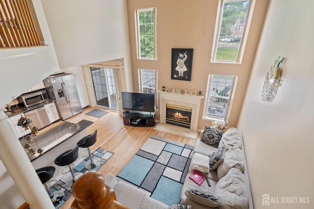181 Windsong Cir E, Brunswick, NJ 08816 - living area with a towering ceiling, wood finished floors, and a glass covered fireplace
