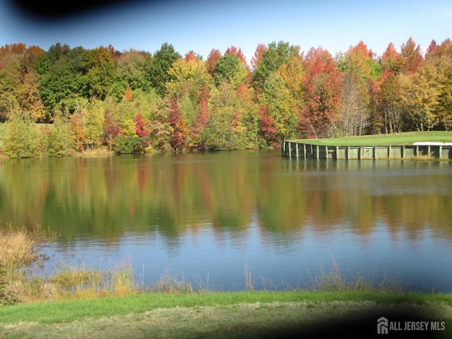 7 Riviera Dr, Monroe, NJ 08831 - photo 38