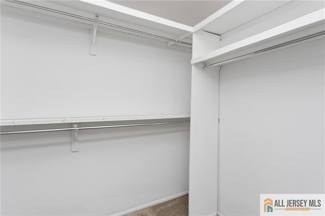 747 Marlton Rd Unit 747A, Monroe, NJ 08831 - walk in closet with carpet floors
