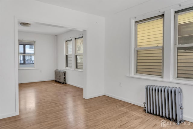 18 N Talmadge St, New Brunswick, NJ 08901 - photo 6