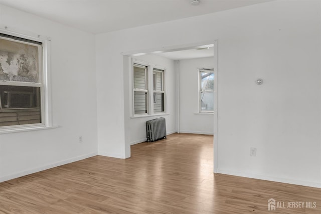 18 N Talmadge St, New Brunswick, NJ 08901 - photo 8