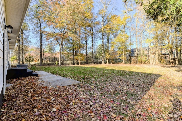 view of yard with a patio area