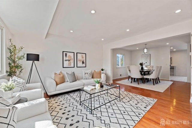 living room with wood-type flooring