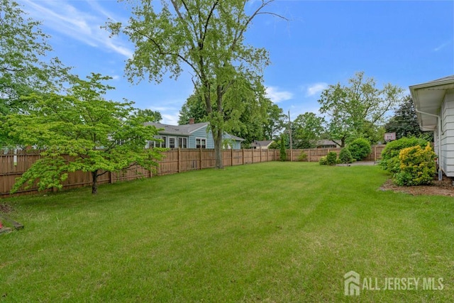 1010 Dorn Ave, Middlesex, NJ 08846 - view of yard