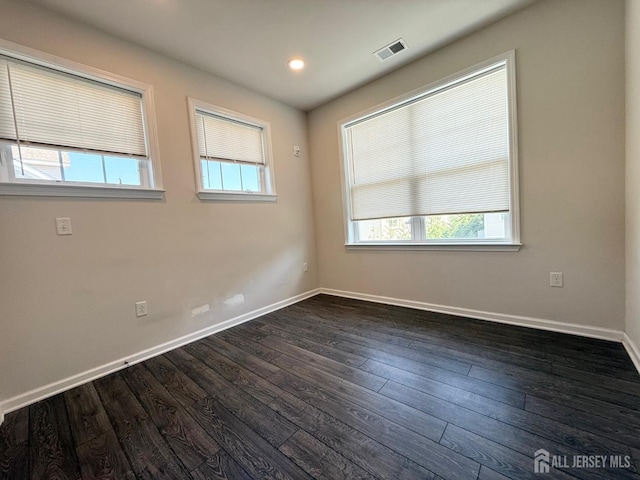 307 Dickson Ct, Highland Park, NJ 08904 - photo 8