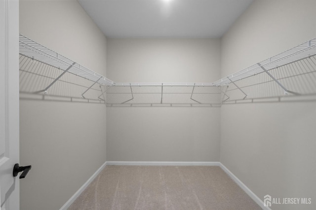 1306 Parker Blvd, West Windsor, NJ 08550 - walk in closet featuring carpet flooring