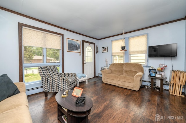 1650 Holly Rd, North Brunswick, NJ 08902 - photo 6