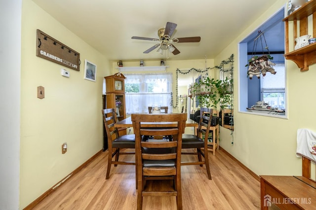 1650 Holly Rd, North Brunswick, NJ 08902 - photo 10