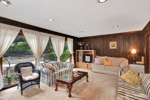 25 Deer Path, Holmdel, NJ 07733 - living room featuring carpet, wood walls, and recessed lighting