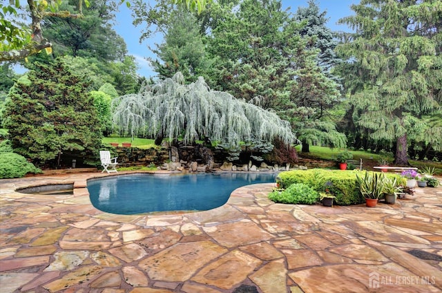 25 Deer Path, Holmdel, NJ 07733 - swimming pool featuring a patio and view of wooded area