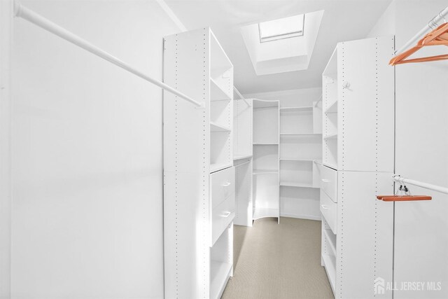 walk in closet featuring a skylight