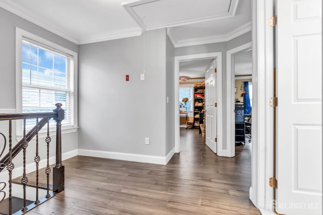32 Matawan Rd, Old Bridge, NJ 08879 - photo 17