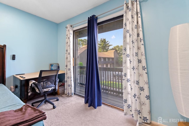 438 Westgate Dr, Edison, NJ 08820 - photo 25