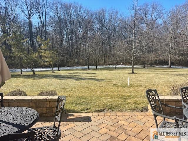 view of yard featuring a patio area