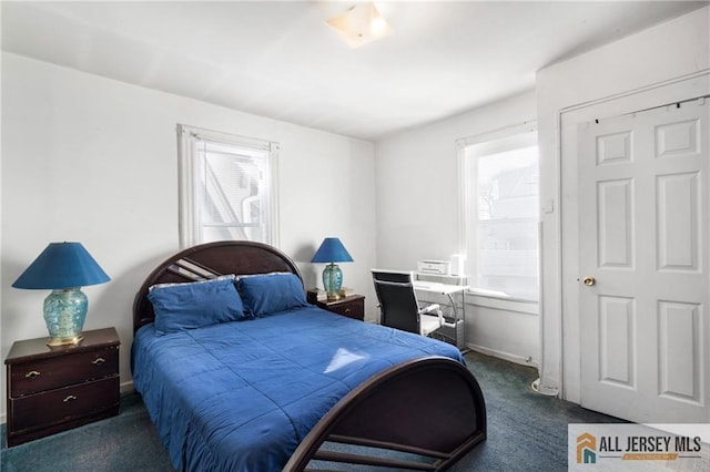 689 Springdale Ave, East Orange, NJ 07017 - photo 14
