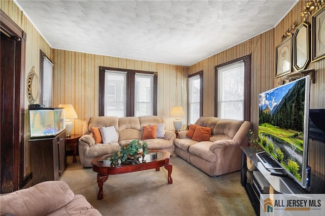 689 Springdale Ave, East Orange, NJ 07017 - photo 6