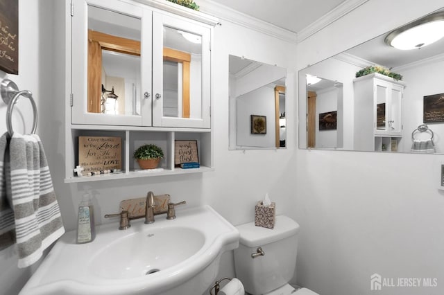 bathroom with toilet, crown molding, and a sink