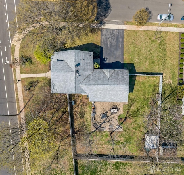 bird's eye view