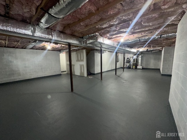 unfinished basement featuring concrete block wall