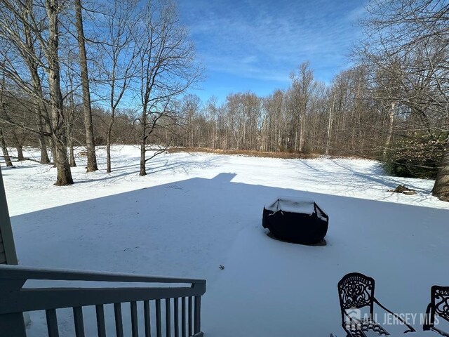 view of yard layered in snow