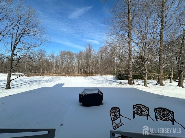 view of yard layered in snow