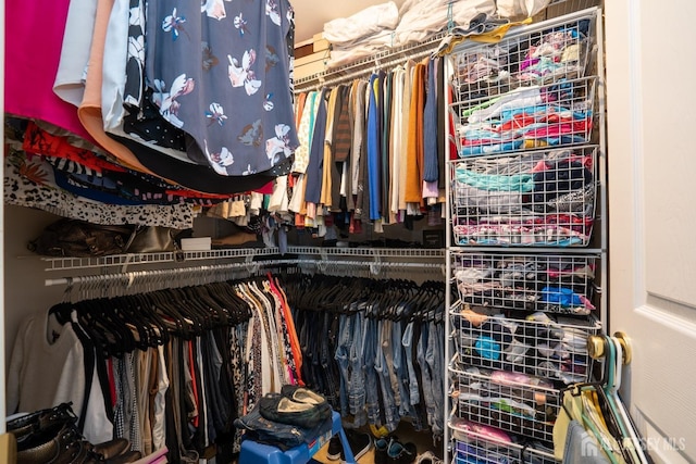 view of spacious closet