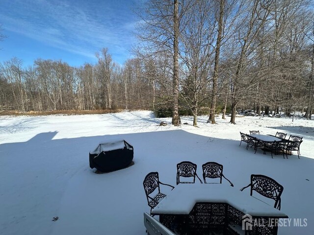 view of yard covered in snow